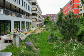 Schwammstadtquartier mit Versickerungsgraben und erhöhten Erdgeschossen und Gebäudeöffnungen (Quelle: Kanton Genf / Théo Gardiol) Schwammstadtquartier mit Versickerungsgraben und erhöhten Erdgeschossen und Gebäudeöffnungen (Foto von Théo Gardiol, Kanton Genf)
