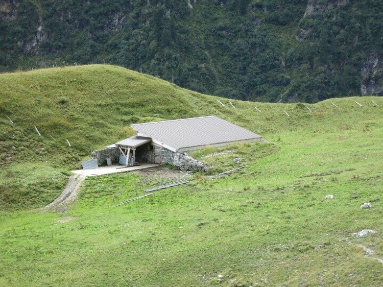 Ebenhöch