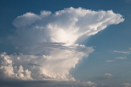 Gewitterwolken entstehen bei konvektiven Wetterlagen und erstrecken sich bis in grosse Höhen. Besonders grosse Gewitterwolken nennt man Cumulonimbus - sie haben eine Amboss-ähnliche Form.